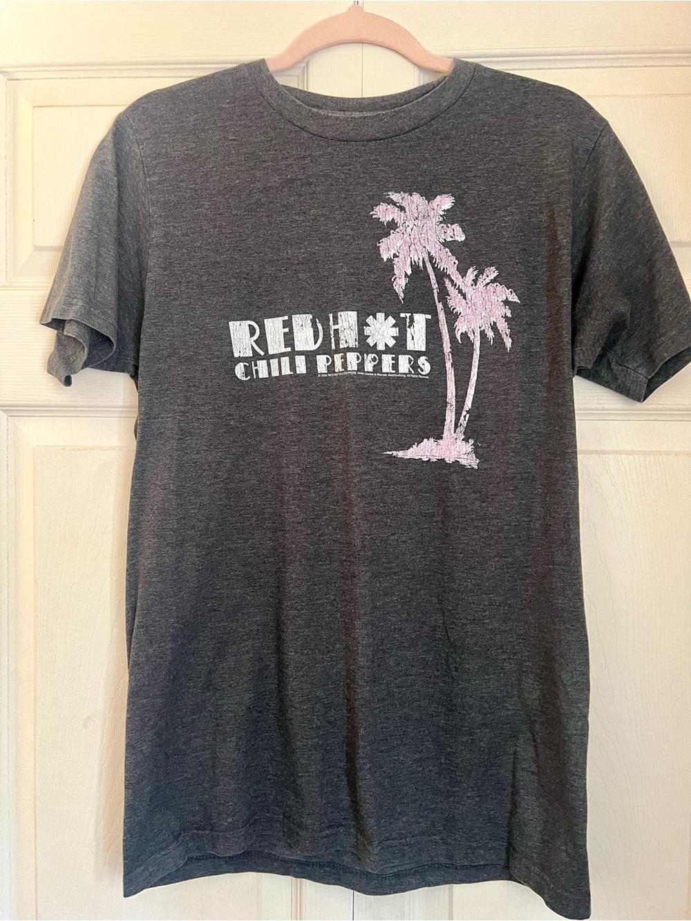 Vintage 2006 Red Hot Chili Peppers Band Tee Y2K RHCP Shirt